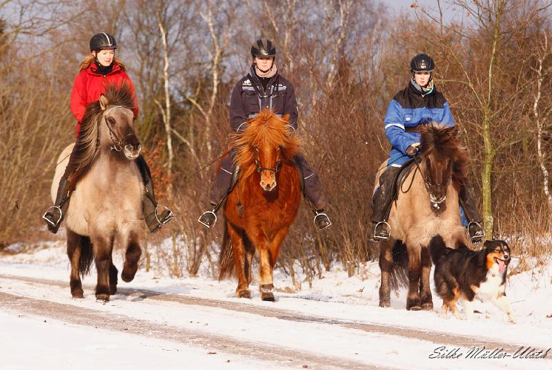 Gruppe a.jpg - In der Gruppe macht es gleich dreifach so viel Spass auszureiten.